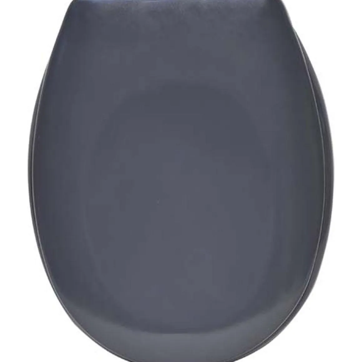 ABATTANT WC THERMODURE FREIN DE CHUTE GRIS