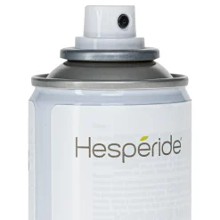AEROSOL PROTECTION BOIS 200ML