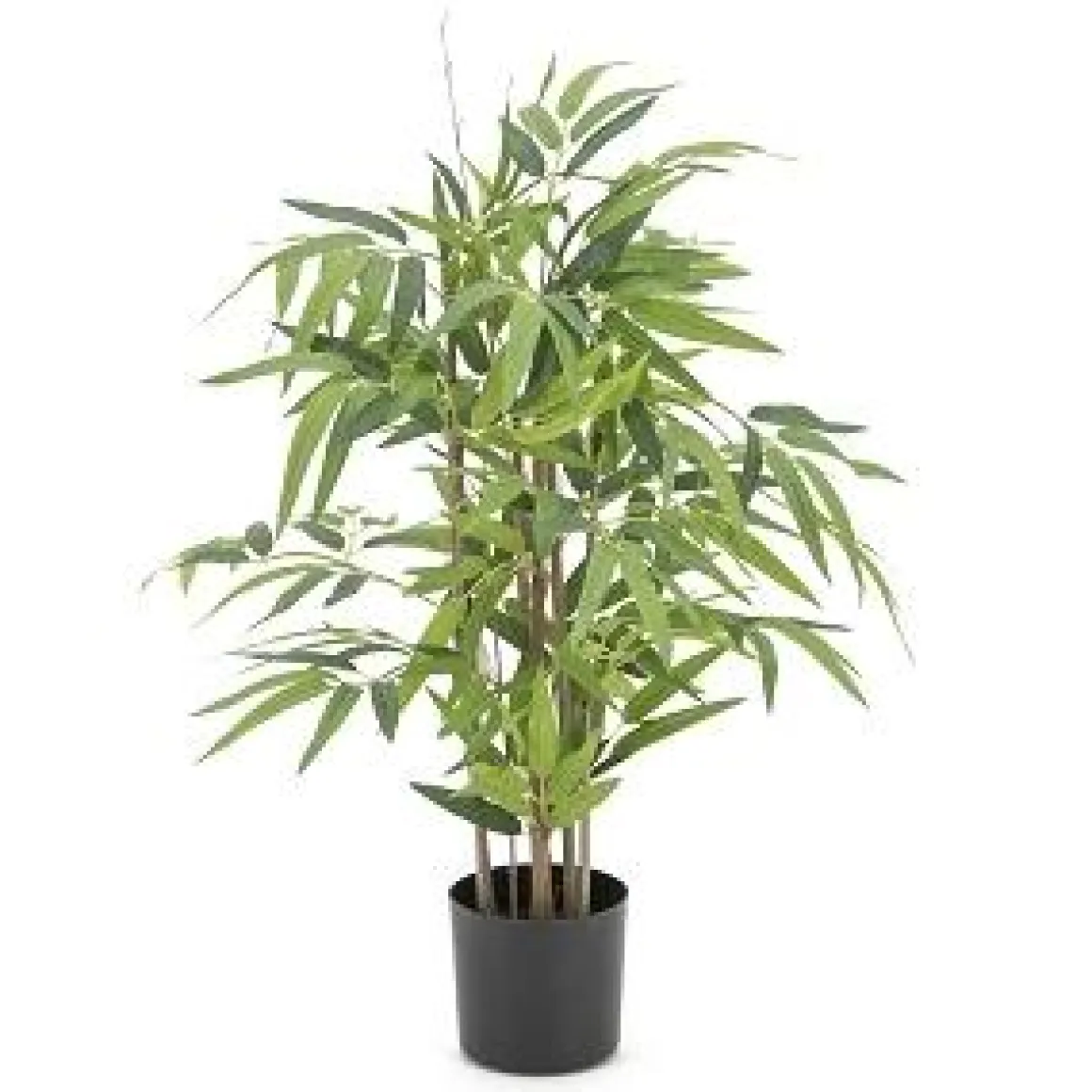 BAMBOU 70CM