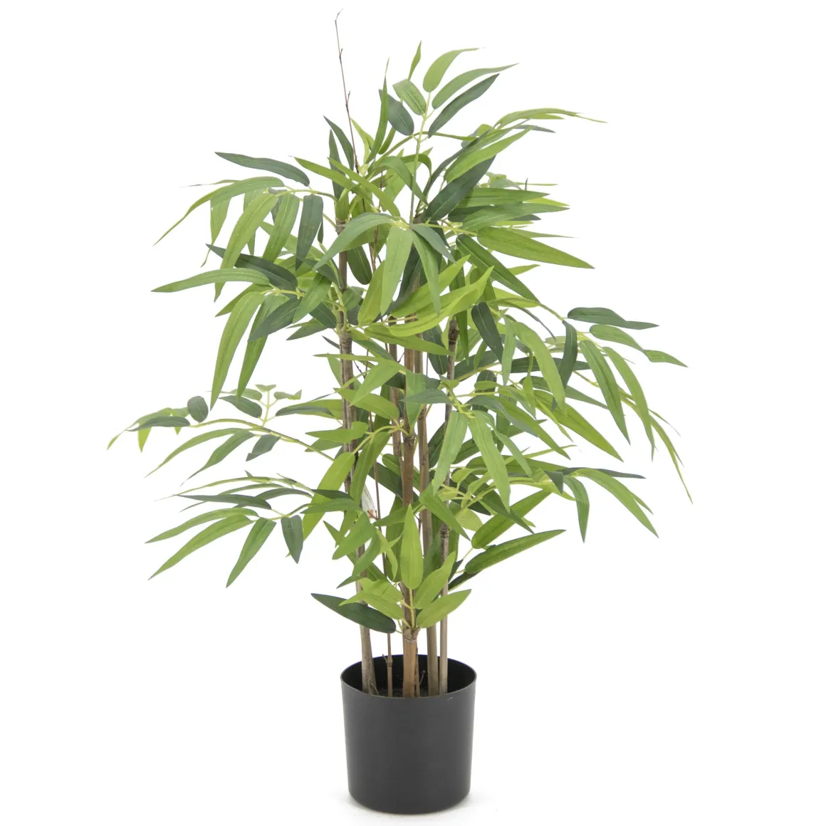 BAMBOU 240 FEUILLES H.70CM
