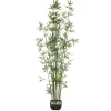 BAMBOU POT CERAMIQUE H.180CM