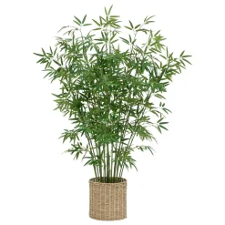 BAMBOU POT NATUREL LY H.150CM
