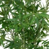 BAMBOU POT NATUREL LY H.100CM
