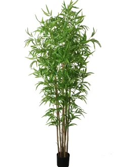 BAMBOU 6 TRONCS H180CM