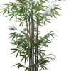 BAMBOU 7 TRONCS NATURELS 612 FEUILLES H.150CM