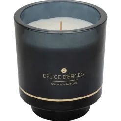 BOUGIE PARFUMEE ILAE EPICES POT VERRE 225G