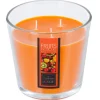BOUGIE PARFUMEE VERRE GM 500G FRUIT EXOTIQUE