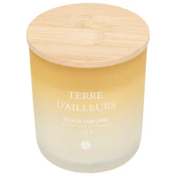 BOUGIE PARFUMEE VERRE SANA TERRE D AILLEURS 255G
