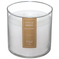 BOUGIE PARFUMEE VERRE SILI ROSE 430G