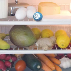 BOULES FRIGO ANTI ODEURS X2