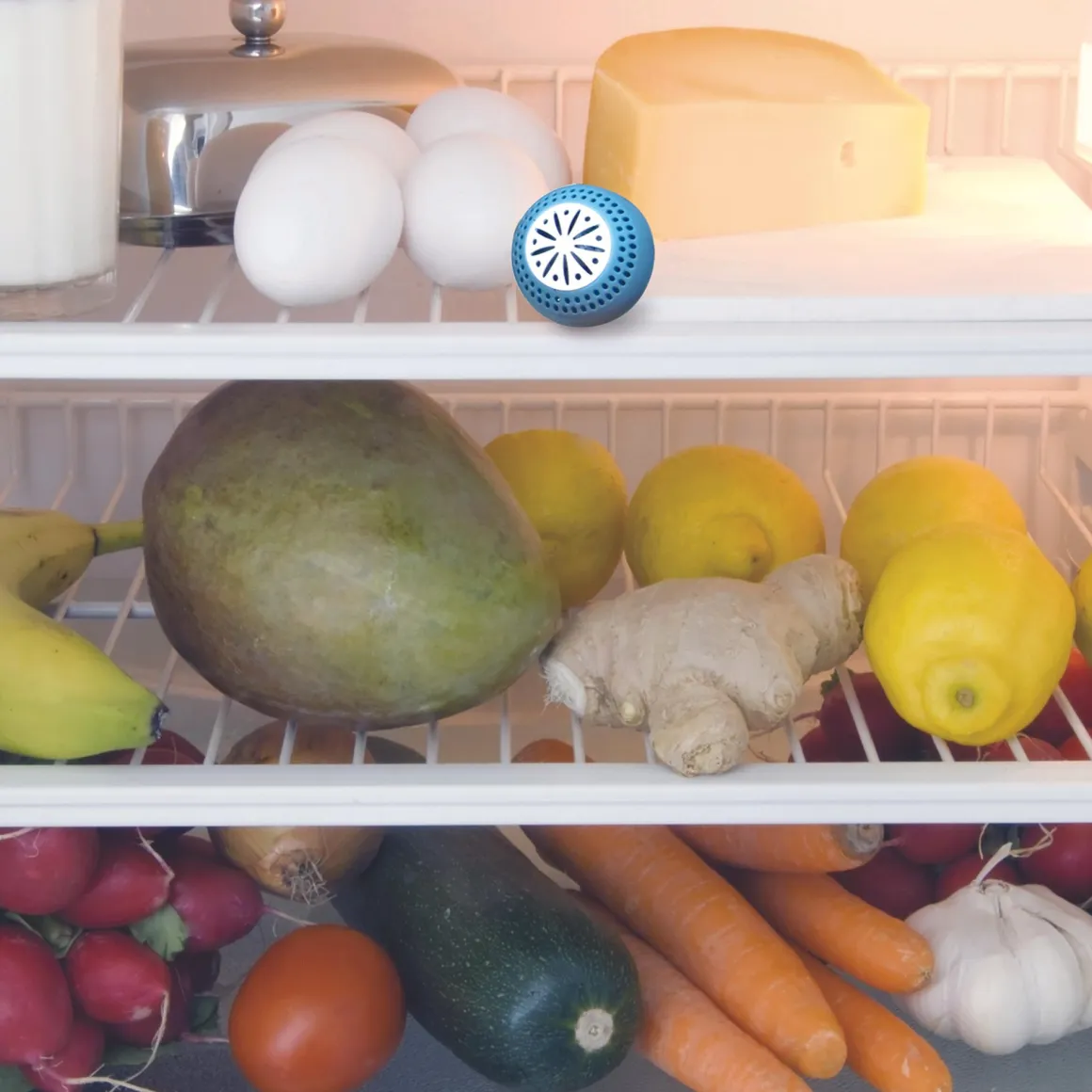 BOULES FRIGO ANTI ODEURS X2