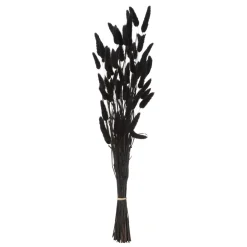 BOUQUET QUEUE DE LAPIN LUMIERE D HIVER H.58CM