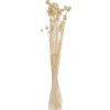 BOUQUET SECHE