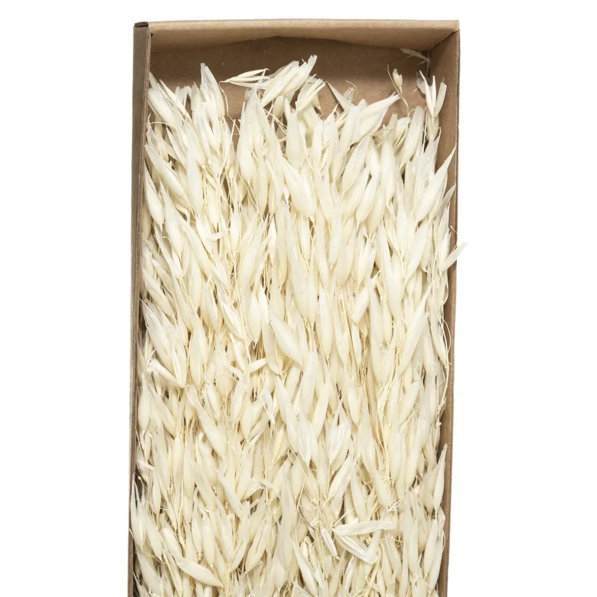 BOUQUET SECHE NATUREL KRAFT H.60CM