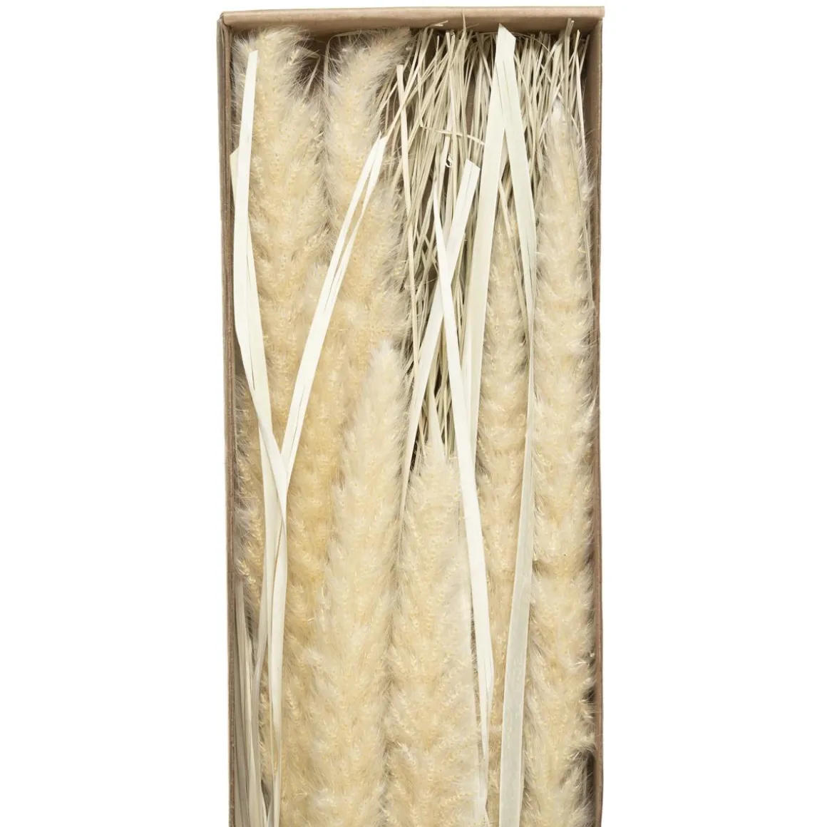 BOUQUET SECHE NATUREL KRAFT H.60CM