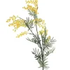 BRANCHE MIMOSAS H.66CM