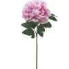 BRANCHE PIVOINE H.70CM FUCHSIA