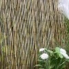 BRISE VUE ROSEAUX 100X300CM