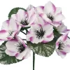 BUISSON ANEMONE