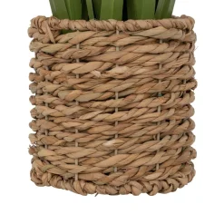 BUNCH LIN POT NATUREL ZYA H.91CM