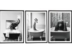 CADRE ELEPHANT GIRAFE SINGE BAIN 45X60CM