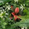 CARRE VEGETAL TROPICAL IZY D.50X50CM