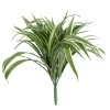 CHLOROPHYTUM H.42CM PANACHE