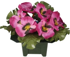 COLUMBARIUM POT PENSEES