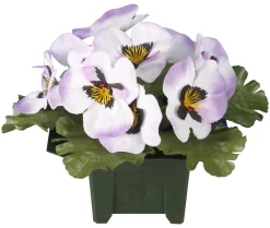 COLUMBARIUM POT PENSEES