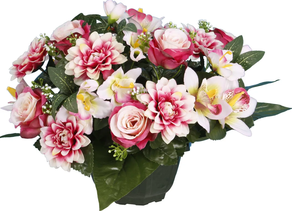 COUPE DAHLIA ROSETTE ORCHIDEE
