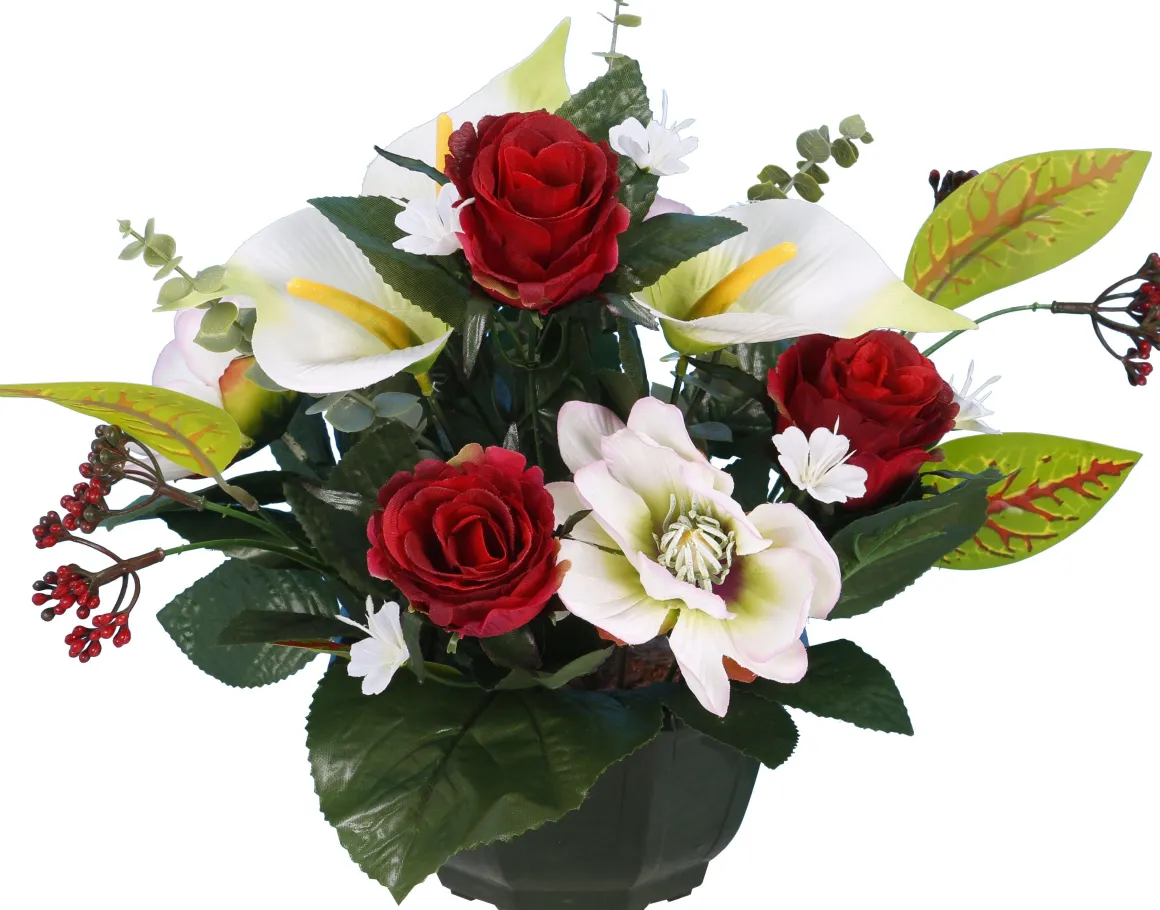 COUPE MAGNOLIA BOUTON ROSE ARUM