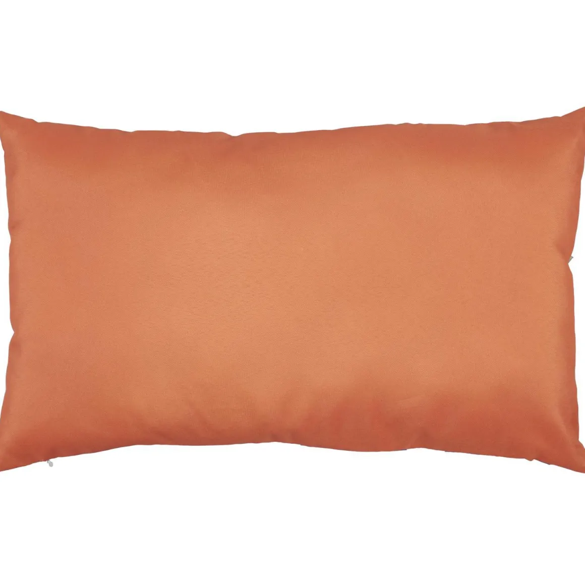 COUSSIN DEPERLANT DOLCE VITA 30X50CM