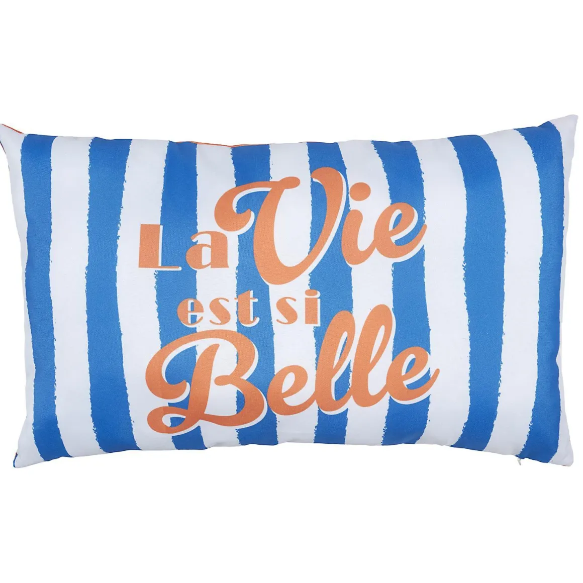 COUSSIN DEPERLANT DOLCE VITA 30X50CM