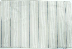 COUSSIN GROOVE RAYE BLEU 38X58CM