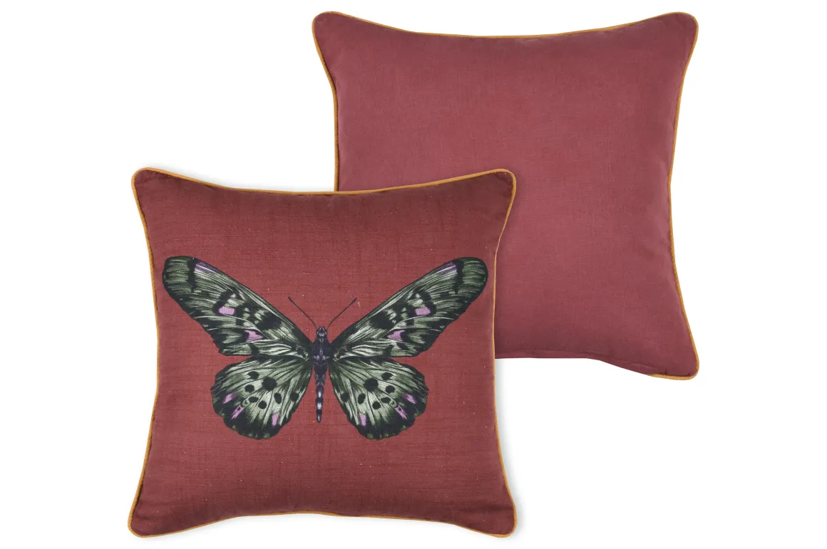CURIOSITY COUSSIN 40X40CM GRENACHE