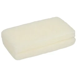 EPONGES LESSIVAGE MULTI SURFACE X2 PIECES