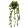 EUCALYPTUS EN POT MERLY H.51CM