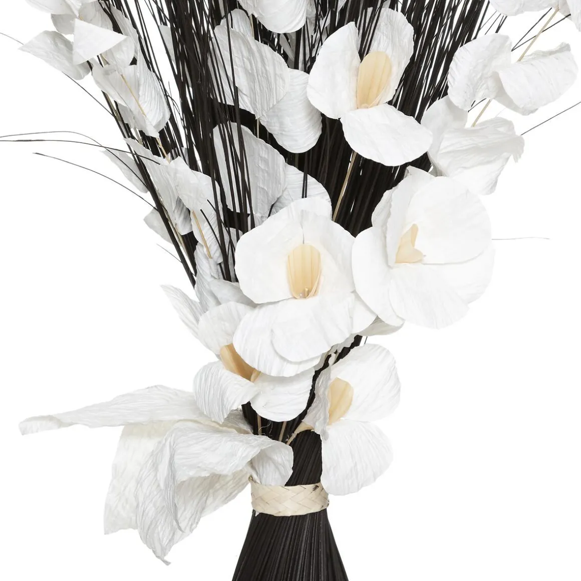 FAGOT ORCHIDEE BLANC NOIR H.100CM
