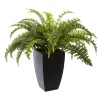 FOUGERE POT PLASTIQUE H.55CM
