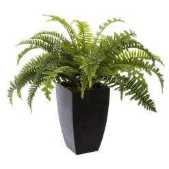 FOUGERE POT PLASTIQUE H.55CM