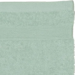 GANT X2 450GR CELADON 15X21CM