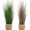 GRAMINEES AVEC CACHE POT OSIER H75CM