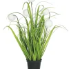 GRAMINEES 5 POMPONS BLANCS POT H.40CM