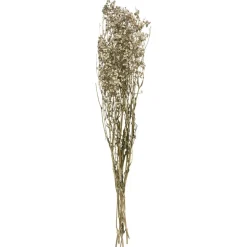 GYPSOPHILE NATUREL SECHE H.58CM