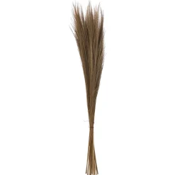 HERBES SECHEES ORIGINES H.110CM