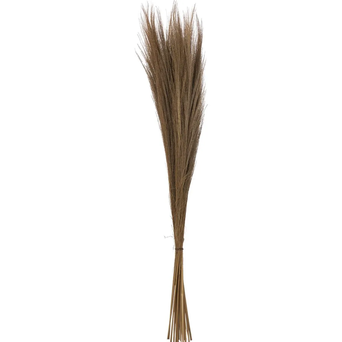 HERBES SECHEES ORIGINES H.110CM