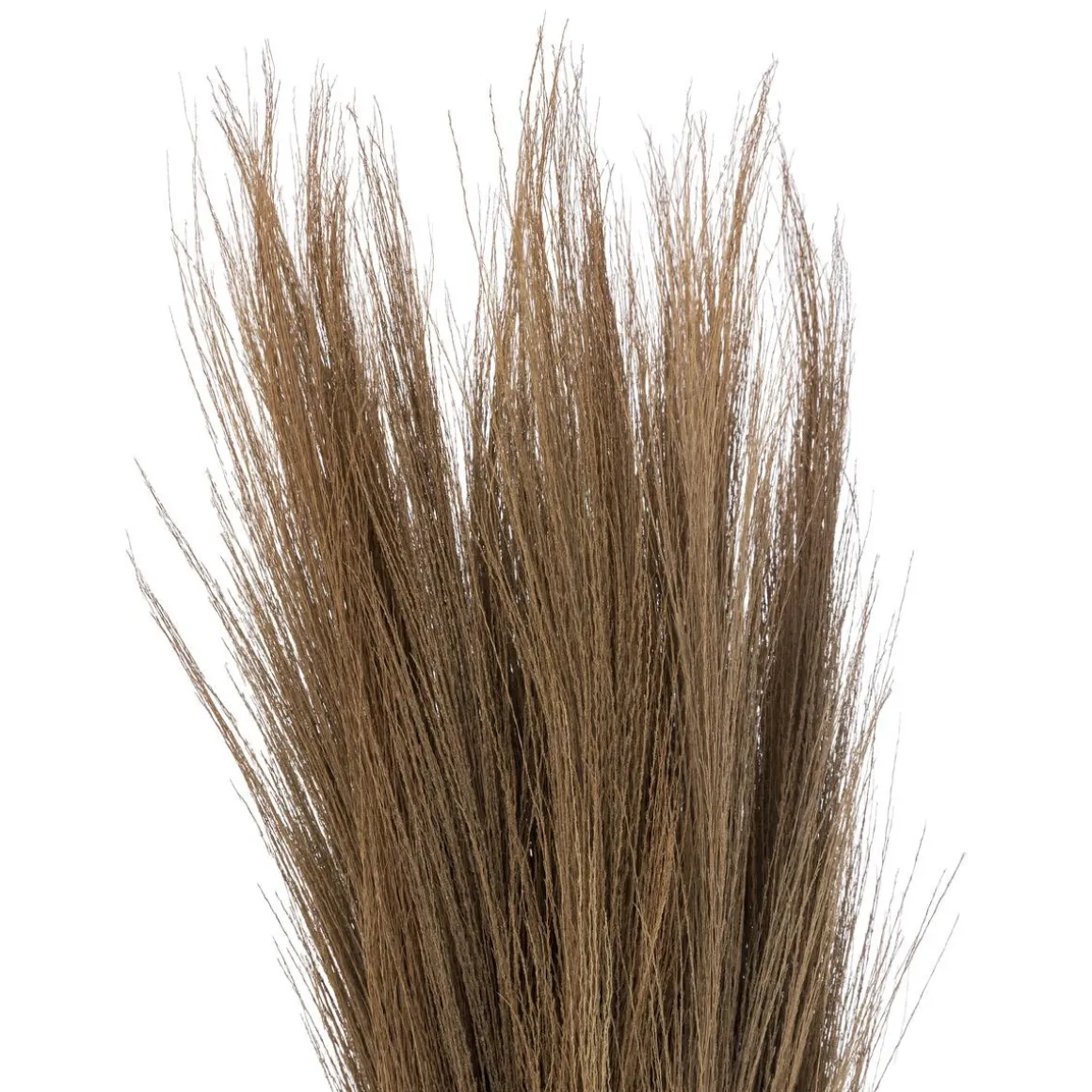 HERBES SECHEES ORIGINES H.110CM