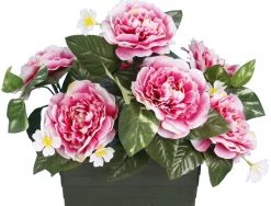 JARDINIERE CAMELIAS