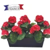 JARDINIERE GERANIUMS L40CM H42CM ROUGE ET ROSE