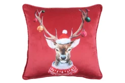 JOYEUX COUSSIN 40X40CM